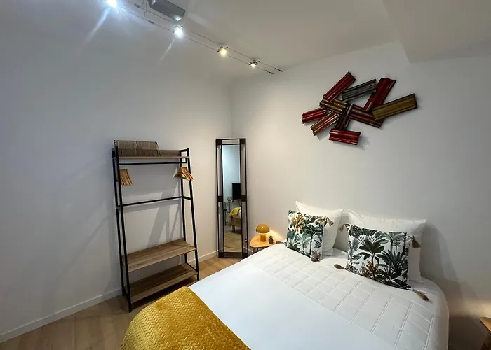 Deux Pieces En Plein Centre-ville De * ナルボンヌ