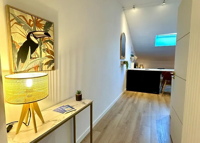 Appartement Deux Pièces En Plein Centre-ville De *
